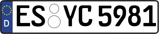 ES-YC5981