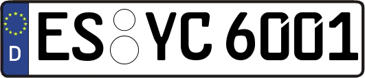 ES-YC6001