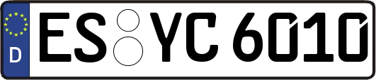 ES-YC6010