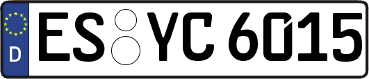 ES-YC6015