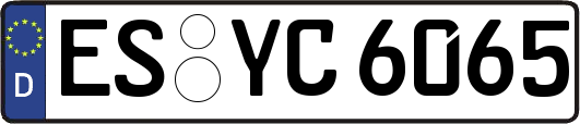ES-YC6065