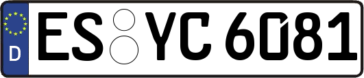 ES-YC6081