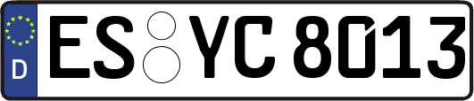 ES-YC8013
