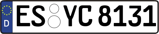 ES-YC8131