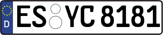 ES-YC8181