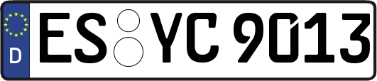 ES-YC9013