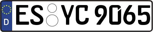 ES-YC9065