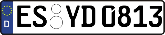 ES-YD0813