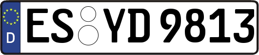ES-YD9813