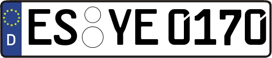 ES-YE0170