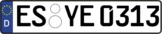 ES-YE0313