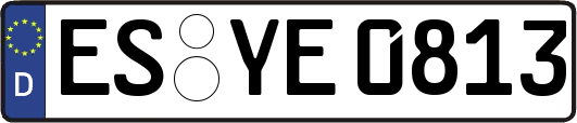 ES-YE0813