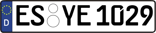 ES-YE1029