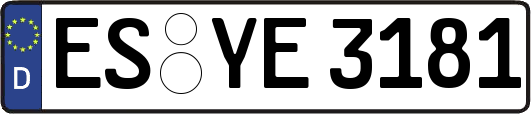 ES-YE3181