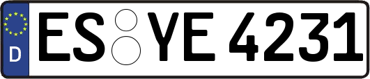 ES-YE4231