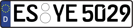 ES-YE5029