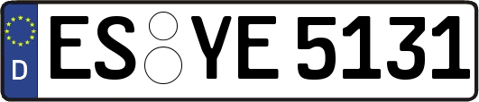 ES-YE5131