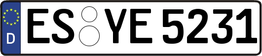 ES-YE5231