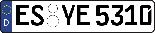 ES-YE5310