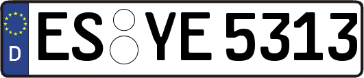 ES-YE5313