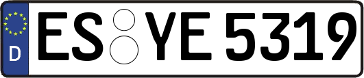 ES-YE5319