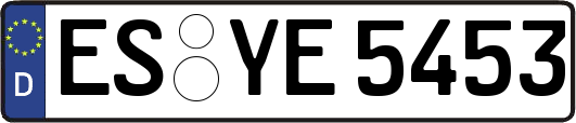 ES-YE5453