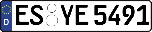 ES-YE5491