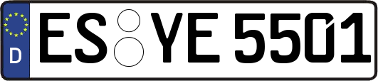 ES-YE5501