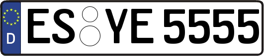 ES-YE5555