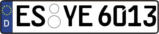 ES-YE6013