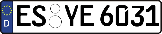 ES-YE6031