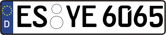 ES-YE6065