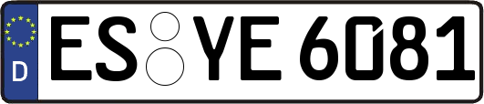 ES-YE6081
