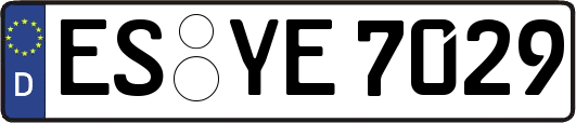 ES-YE7029
