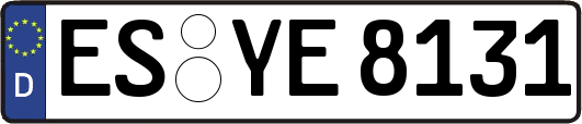ES-YE8131