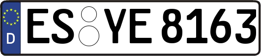 ES-YE8163