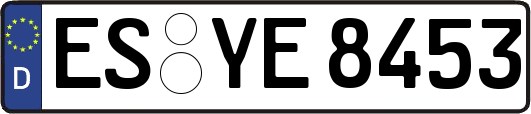 ES-YE8453