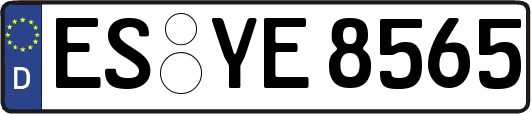 ES-YE8565