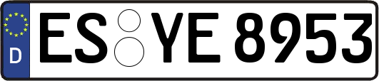 ES-YE8953