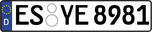 ES-YE8981