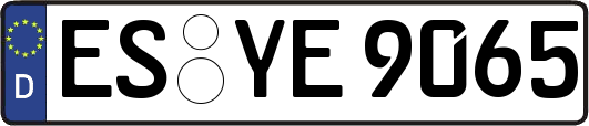 ES-YE9065