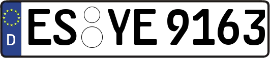ES-YE9163