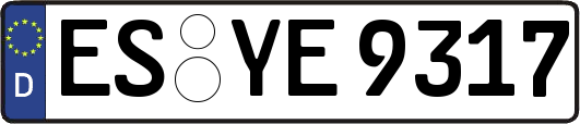 ES-YE9317