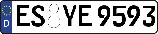 ES-YE9593
