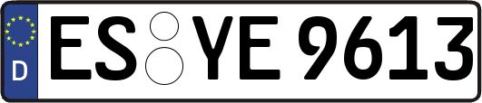 ES-YE9613