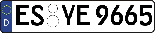 ES-YE9665
