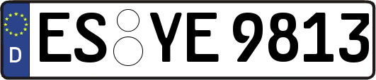 ES-YE9813