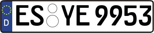 ES-YE9953