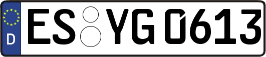 ES-YG0613