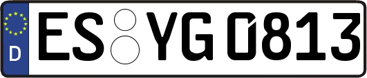 ES-YG0813